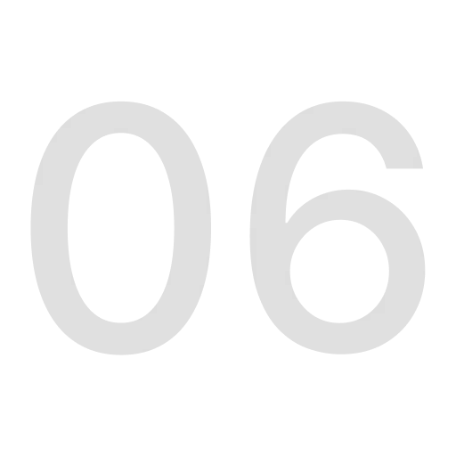 06