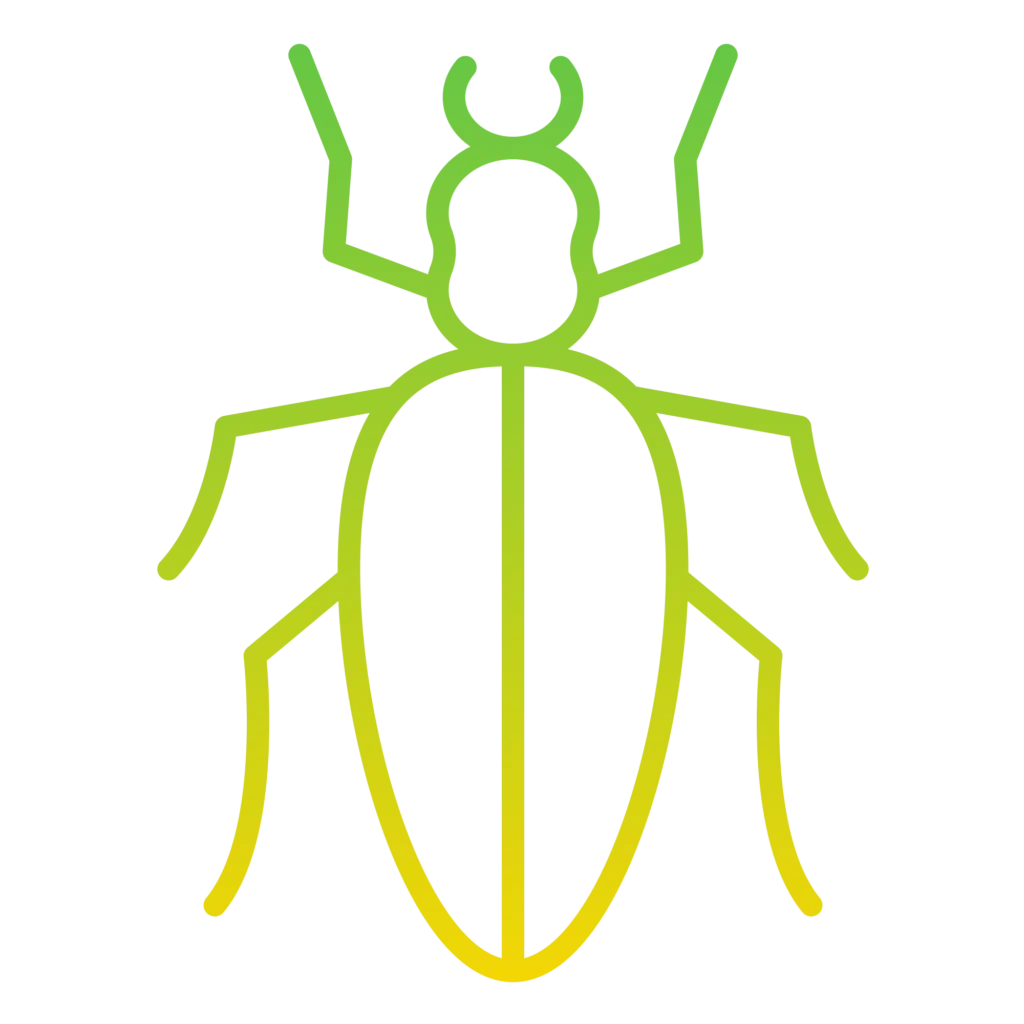 Termite Control